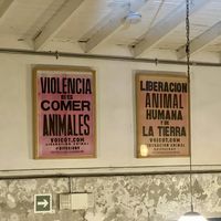   at Real Vegetal in Medellin