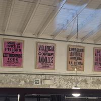  at Real Vegetal in Medellin