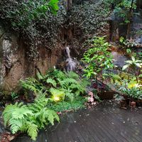 Nice environment at Thais Gois Cozinha Especial in Vitoria