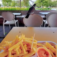  at Frituur De Petaat in Antwerpen