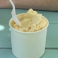 Large cup lemon sorbett  at The Corner Cone in Yellow Springs