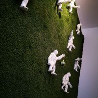 Inside at GORYA in Brussels