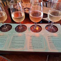  at Otto Champagneria & Beer Hall in Wellington