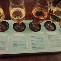 Aotearoa Tasting at Otto Champagneria & Beer Hall in Wellington