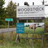 🌱🐄🐖🐐🐓 at Woodstock Farm Sanctuary in High Falls
