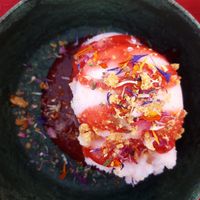 Vegan rhubarb sorbet with berry sauce at Restaurant Punakettu in Luosto