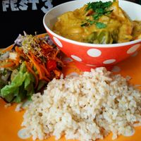 Vegan curry at Toucan Cafe in Minehead