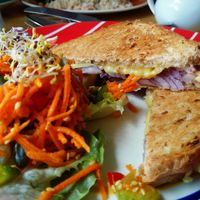 Vegan cheese and onion toasted sandwich at Toucan Cafe in Minehead