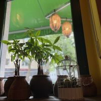   at Hanoi Vegan & Heinenhof in Cologne