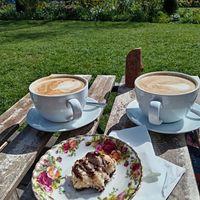 Dead soya Lattes and coconut chocolate macaroon at The Green in Washington