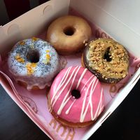 Maple glazed, leon & poppyseed, millionaire's shortcake and raspberry & white choc flavours. at Doh in Glasgow