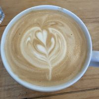 vanilla latte   at Amanita in Lancaster