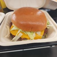  at Kaliburger in St Augustine