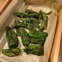 Padrons at No.5 in Sopot