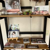 Cat Rescue Charity Corner at kirkas kevat - キルカスケバト in Odate