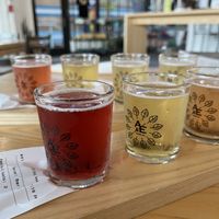 Cider flights!   at Ash & Elm Cider Co in Indianapolis
