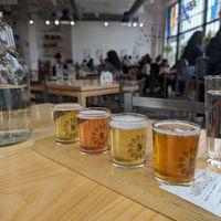 Cider flight at Ash & Elm Cider Co in Indianapolis