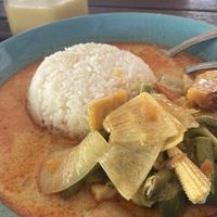 Curry on rice  at Life Style Thai Food in Koh Phangan