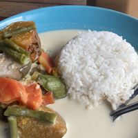 Tom kha (coconut soup with tofu on rice) + iced coffee with coconut milk  at Life Style Thai Food in Koh Phangan