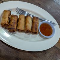 Spring rolls at Life Style Thai Food in Koh Phangan