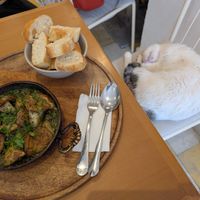 My dining companion fell asleep at bleue! in Tunis