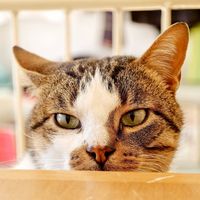 Handsome company! at bleue! in Tunis