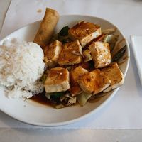 Teriyaki Tofu and veggies. (The spring roll is another side dish.) at Mai Noodle House in Gettysburg