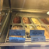 Vegan ice cream options  at French Broad Chocolate Lounge in Asheville