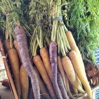   at Chettle Village Stores in Blandford Forum