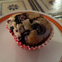 Blueberry muffin at Kafe 44 in Stockholm