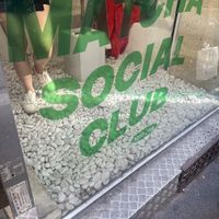   at Matcha Social Club in Paris