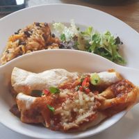 Vegan enchiladas at Hungry Horse - The Gold Medal in Gateshead