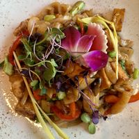 Tofu Drunken Noodles  at BODHI in Indianapolis