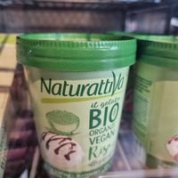 Vegan ice cream at Biotaste Biowinkel in Deinze