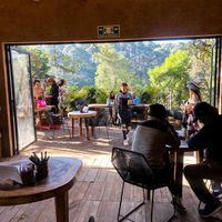  at Pájaro Café Bosque in Avandaro