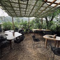 Outdoor  at Pájaro Café Bosque in Avandaro