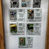   at Sunrise Attitude in Flacq