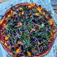  at Superfood Garden in Mallorca