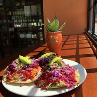 Tostadas with vegan cheese  at Palenque Orgánico in Palenque