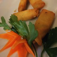 Frühlingsrollen mit Gemüse und Curry (vegetarisch )  at Shanghai in Pietrasanta