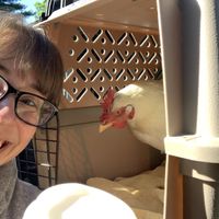 Opal loved visiting the kind folks at Soul Shine (I got a delicious salted caramel latte!). 🐔☕️  at Soulshine Vegan Cafe in Indianapolis