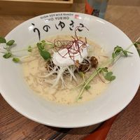 YUKI. The plain soy ramen  at Uno Yukiko - Gion Soy Milk Ramen - ぎをん豆乳らーめん うのゆきこ in Kyoto