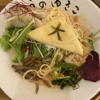 Gyoza Ramen   at Uno Yukiko - Gion Soy Milk Ramen - ぎをん豆乳らーめん うのゆきこ in Kyoto