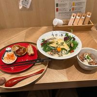 Dumpling, ramen, and rice and vegan cheese dish at Uno Yukiko - Gion Soy Milk Ramen - ぎをん豆乳らーめん うのゆきこ in Kyoto
