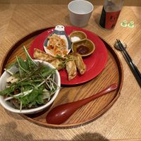 Rice bowl and gyoza  at Uno Yukiko - Gion Soy Milk Ramen - ぎをん豆乳らーめん うのゆきこ in Kyoto