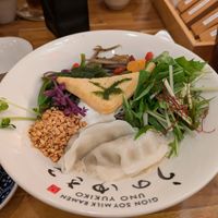 "Bisschen was hiervon, bisschen was davon"-Teller at Uno Yukiko - Gion Soy Milk Ramen - ぎをん豆乳らーめん うのゆきこ in Kyoto