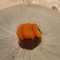 Poached Apricot on Tofu Chocolate Mousse at Dean Banks at the Pompadour in Edinburgh