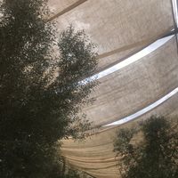   at Terraorigens in Mallorca