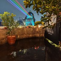Terrace view at Terraza Cha Cha Chá in Mexico City
