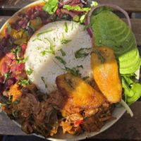 La Bandera. Lots if rice. at Next Stop Vegan in Brooklyn